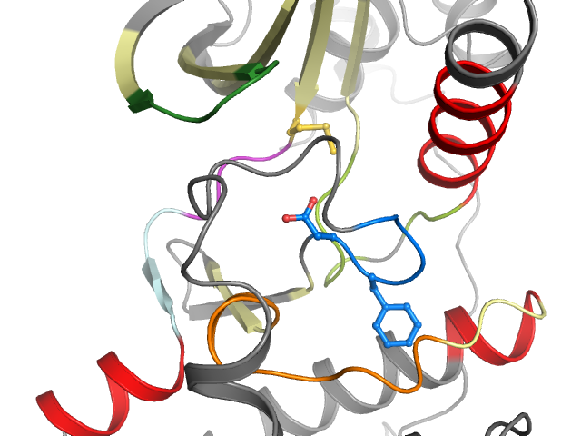 The orthosteric binding pocket