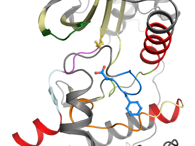 The orthosteric binding pocket