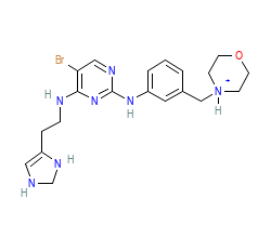 2D structure of the orthosteric ligand