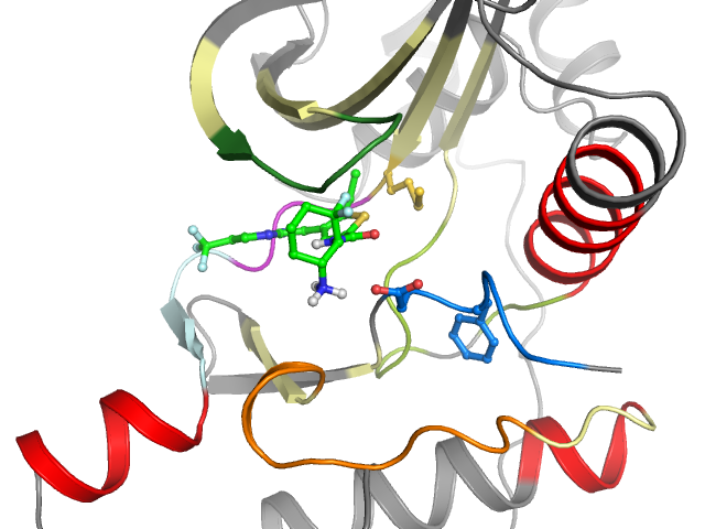 The orthosteric binding pocket