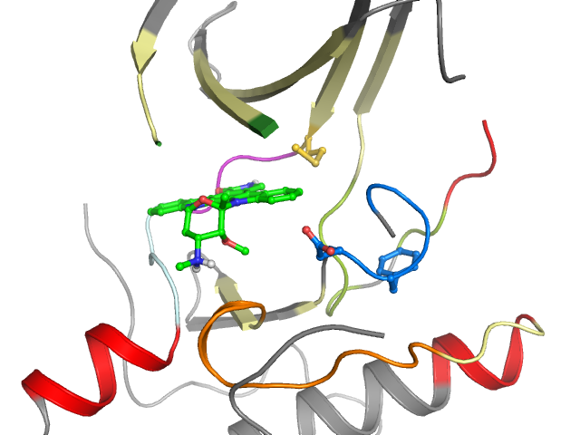 The orthosteric binding pocket