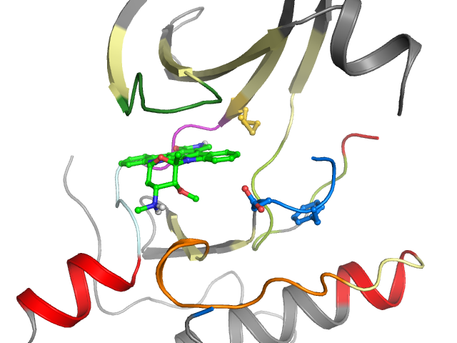 The orthosteric binding pocket