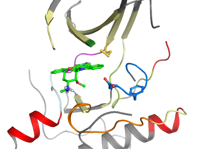 The orthosteric binding pocket