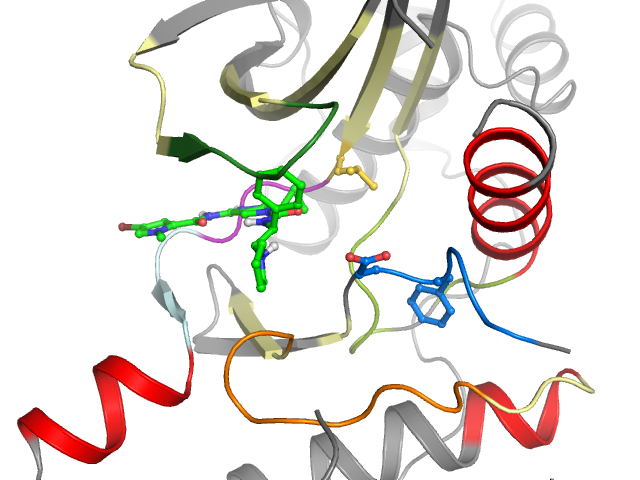 The orthosteric binding pocket