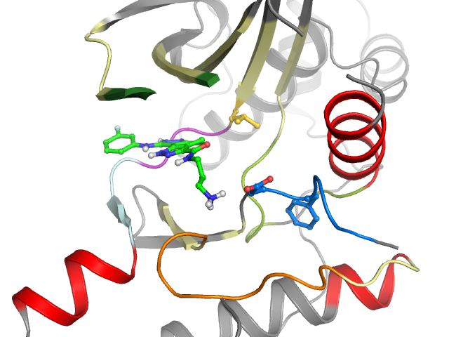 The orthosteric binding pocket