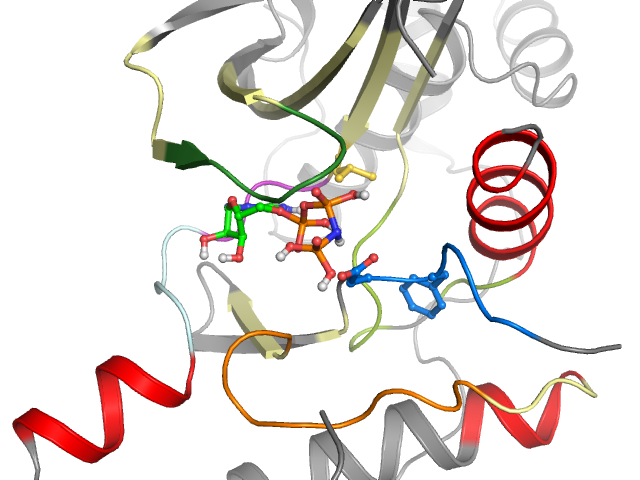 The orthosteric binding pocket
