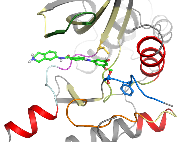 The orthosteric binding pocket