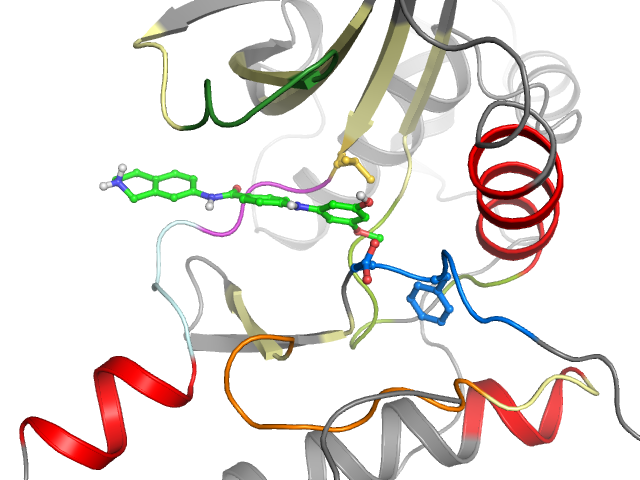 The orthosteric binding pocket