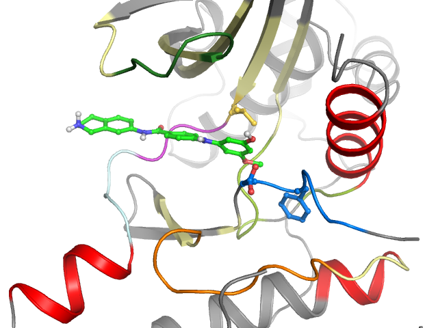 The orthosteric binding pocket