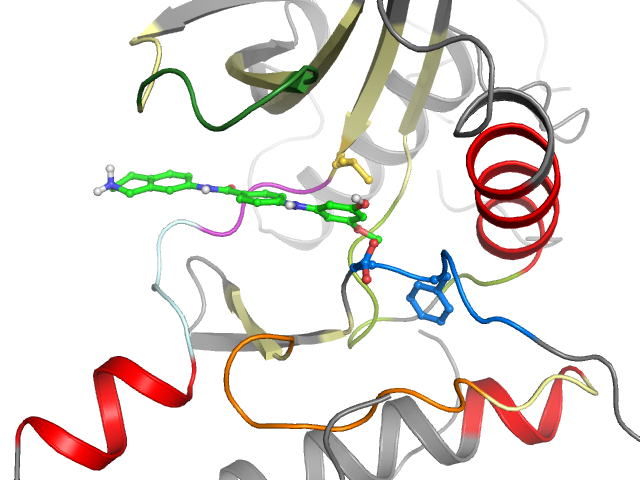 The orthosteric binding pocket