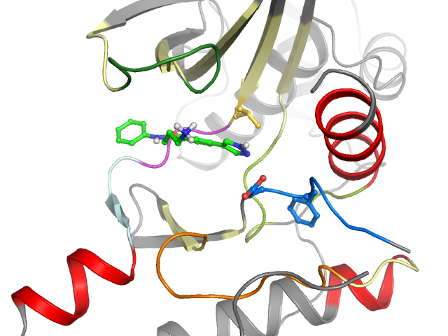 The orthosteric binding pocket