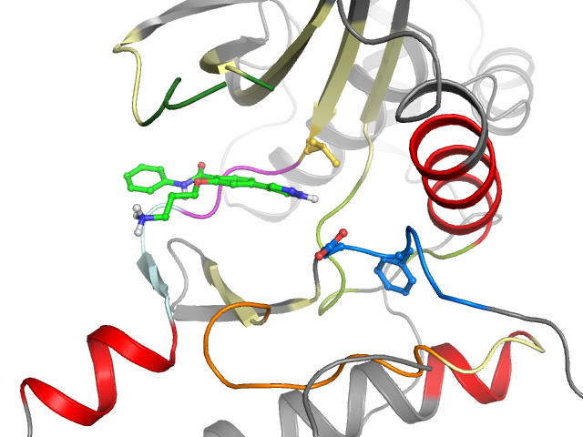 The orthosteric binding pocket