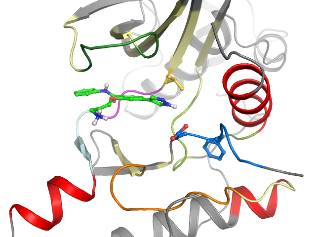 The orthosteric binding pocket