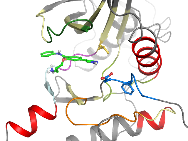 The orthosteric binding pocket