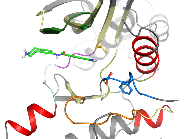 The orthosteric binding pocket