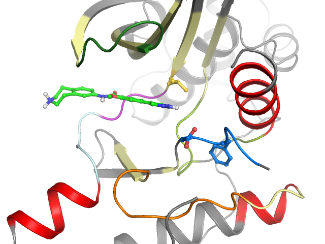 The orthosteric binding pocket