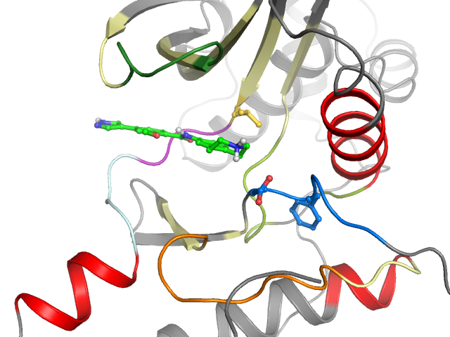 The orthosteric binding pocket
