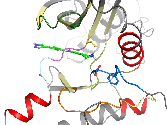 The orthosteric binding pocket