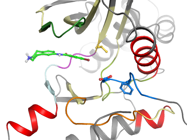 The orthosteric binding pocket