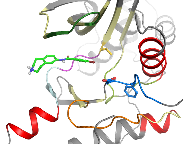 The orthosteric binding pocket
