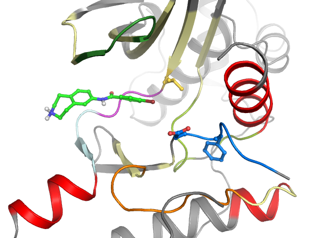 The orthosteric binding pocket