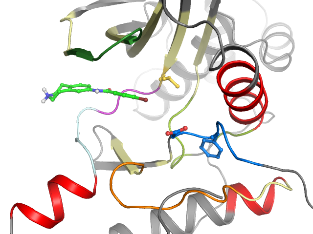 The orthosteric binding pocket