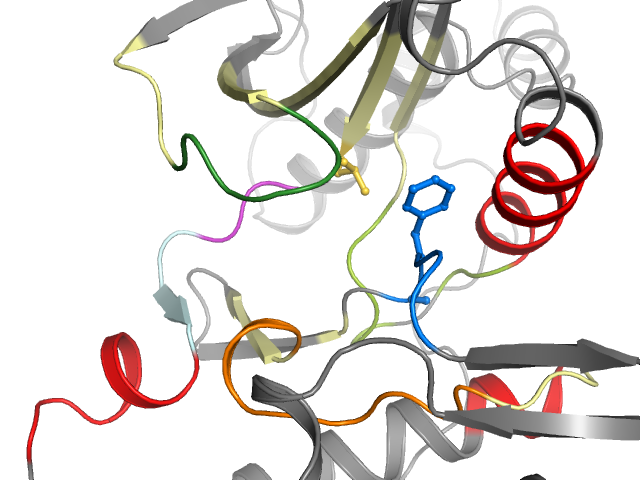 The orthosteric binding pocket