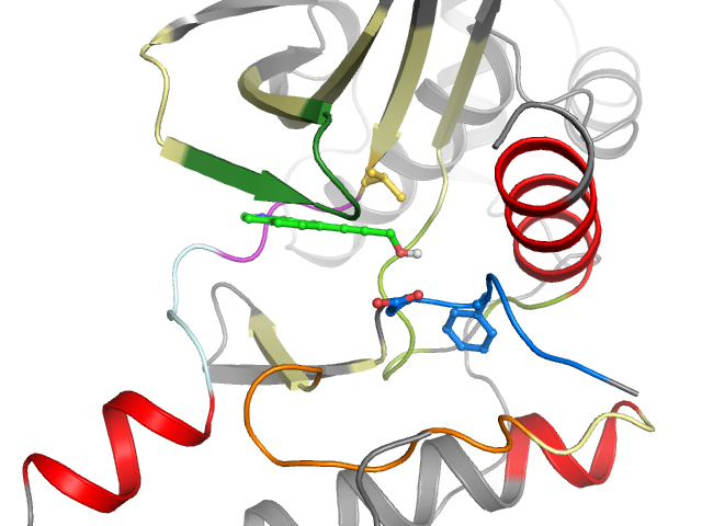 The orthosteric binding pocket