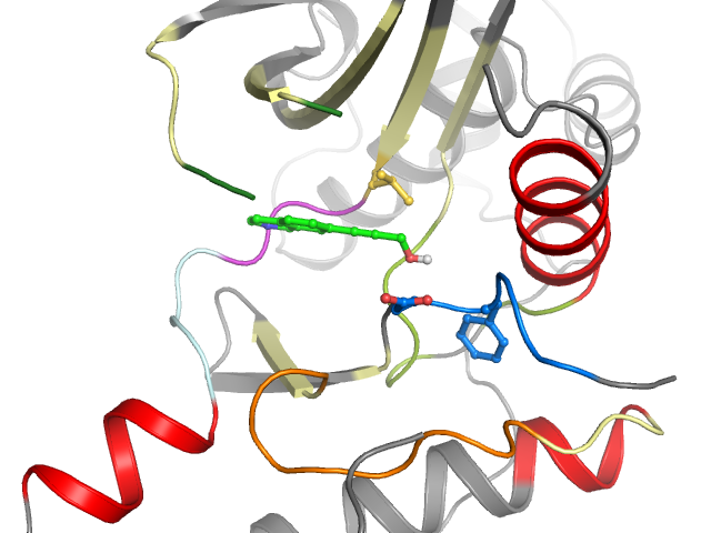 The orthosteric binding pocket
