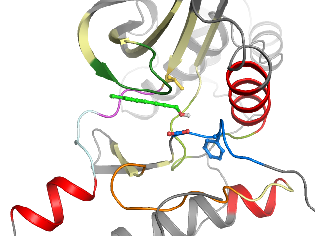 The orthosteric binding pocket
