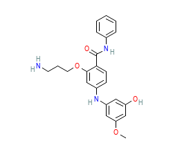 2D structure of the orthosteric ligand