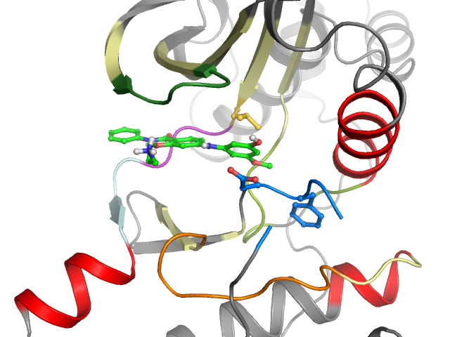 The orthosteric binding pocket