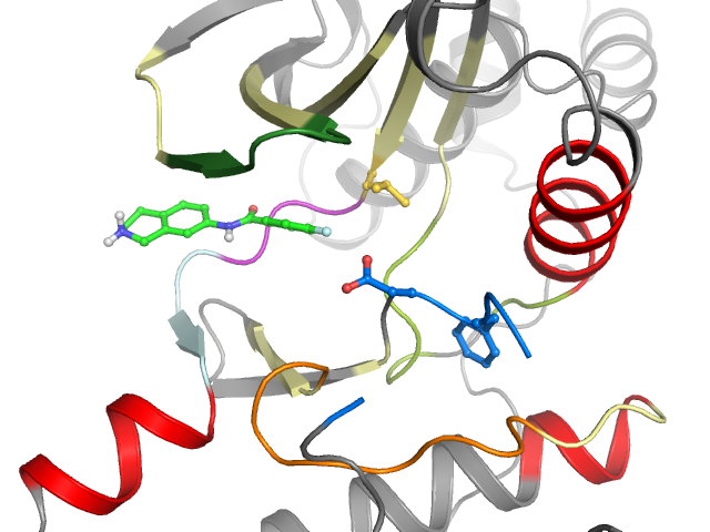 The orthosteric binding pocket