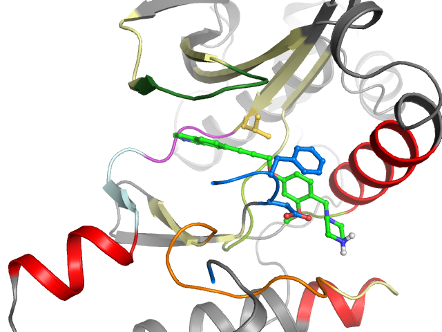 The orthosteric binding pocket