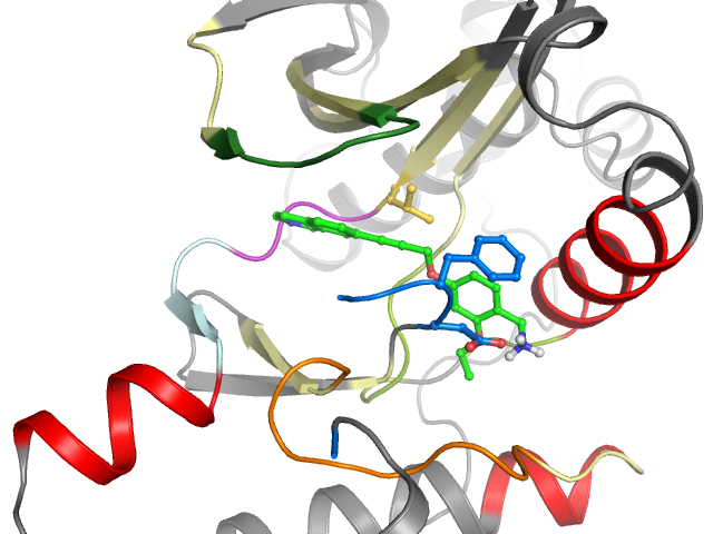 The orthosteric binding pocket