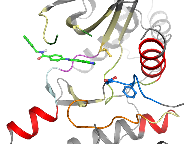 The orthosteric binding pocket