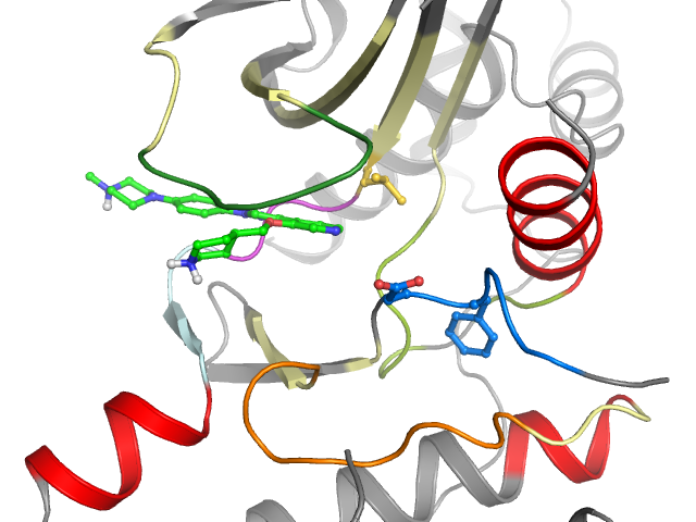 The orthosteric binding pocket