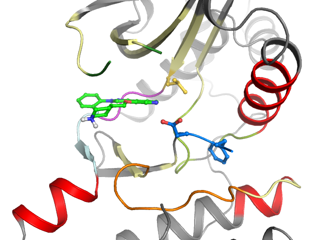 The orthosteric binding pocket