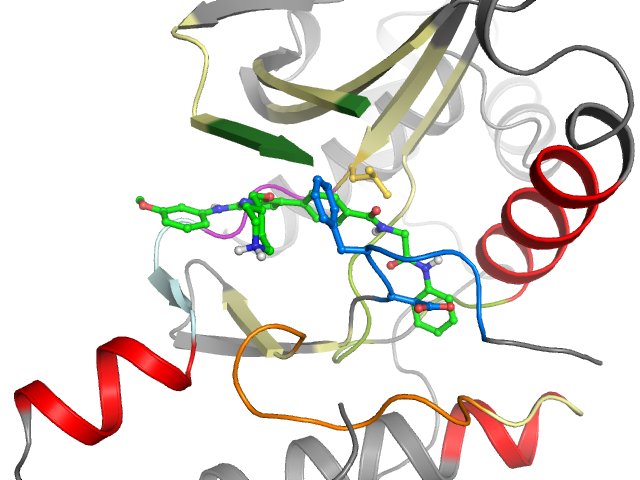 The orthosteric binding pocket