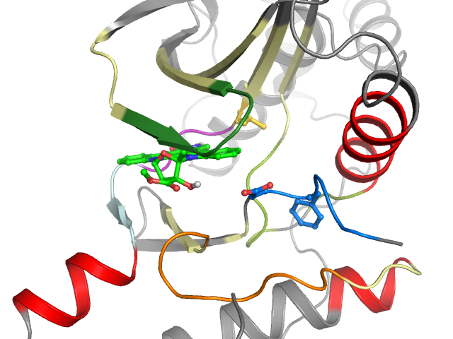 The orthosteric binding pocket