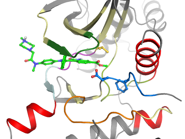 The orthosteric binding pocket