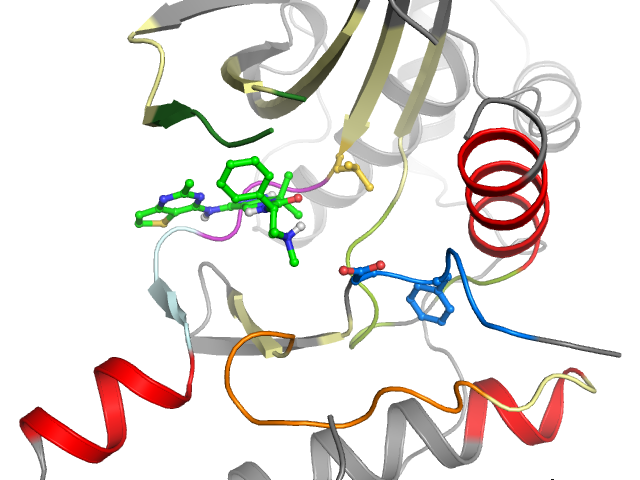 The orthosteric binding pocket