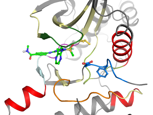The orthosteric binding pocket
