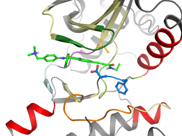 The orthosteric binding pocket