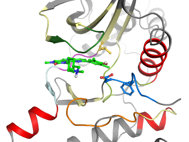 The orthosteric binding pocket