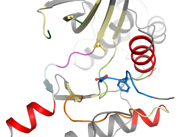 The orthosteric binding pocket
