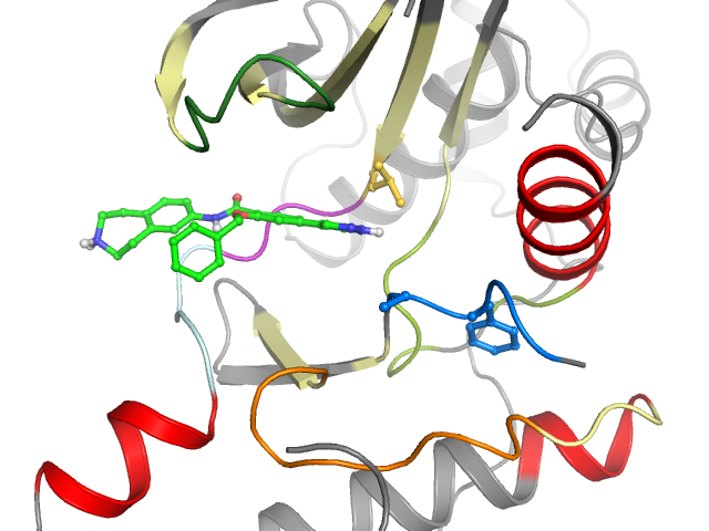 The orthosteric binding pocket