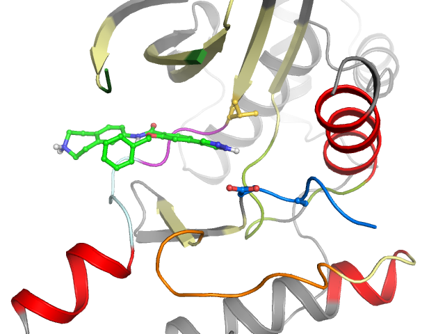 The orthosteric binding pocket