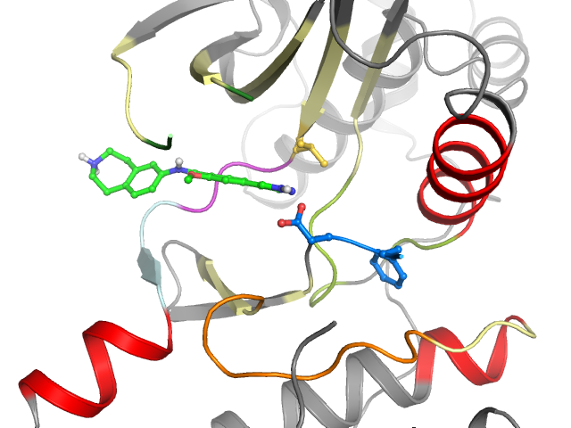 The orthosteric binding pocket