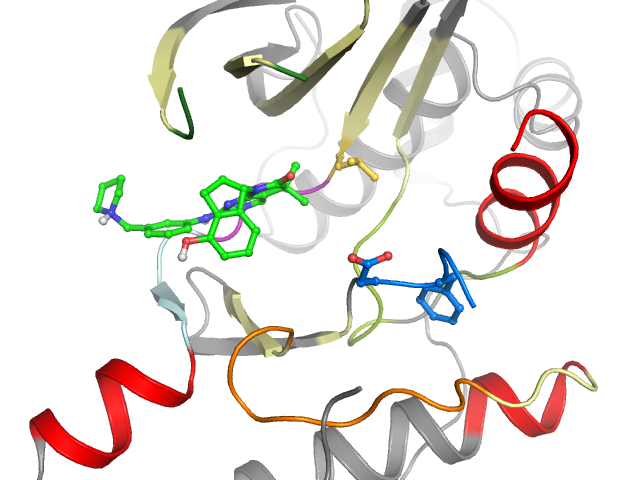 The orthosteric binding pocket
